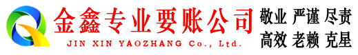盘龙清债公司